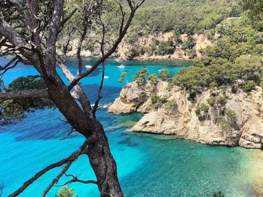 Brad'S House. Διαμέρισμα Saint-Cyr-sur-Mer Εξωτερικό φωτογραφία