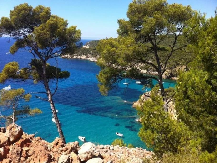 Brad'S House. Διαμέρισμα Saint-Cyr-sur-Mer Εξωτερικό φωτογραφία